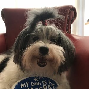 Meet your Posher, Sherry